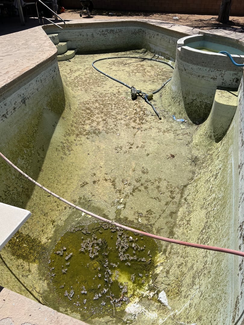 Pool before cleaning - no water