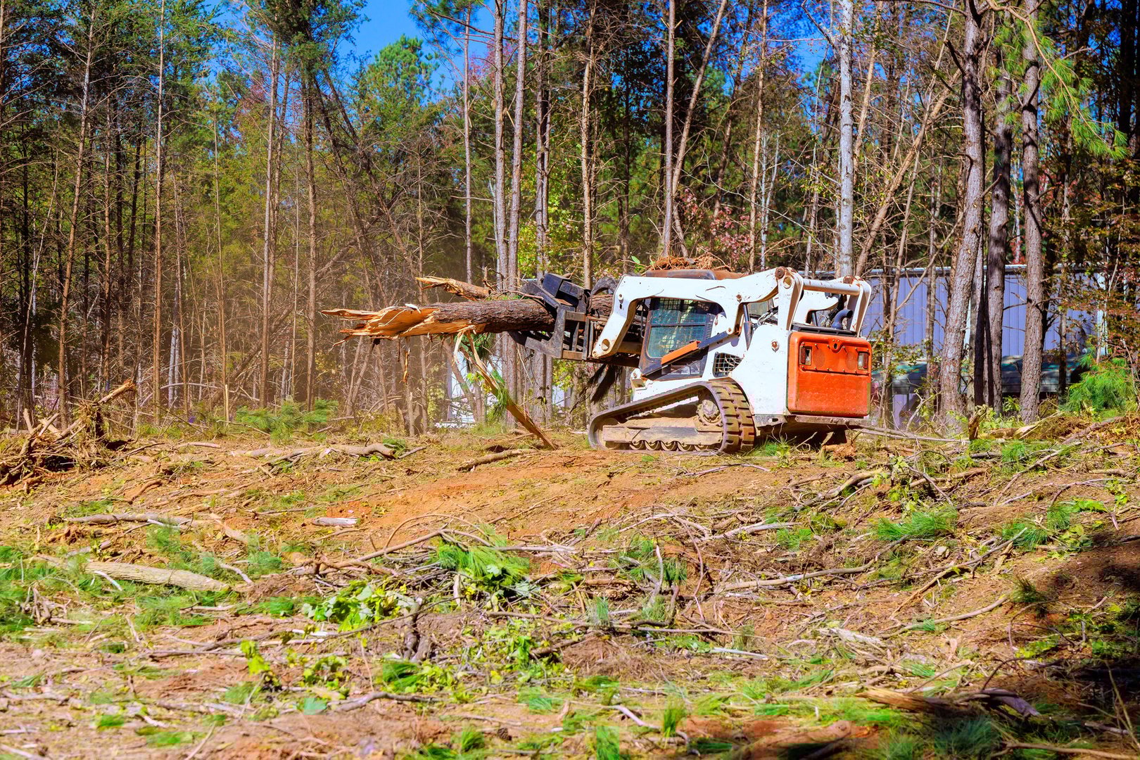 Trees are uprooted when contractor to prepare land for construction