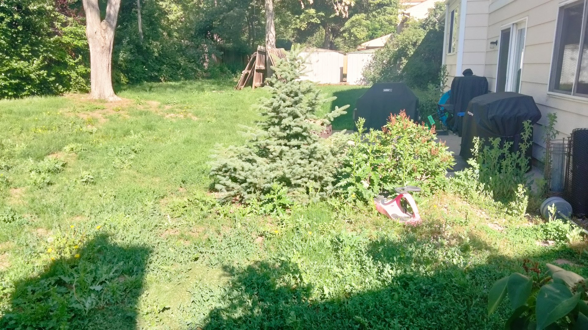 Before complete backyard makeover