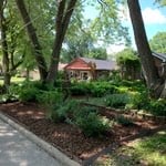 Lawn cleanup service - after photo