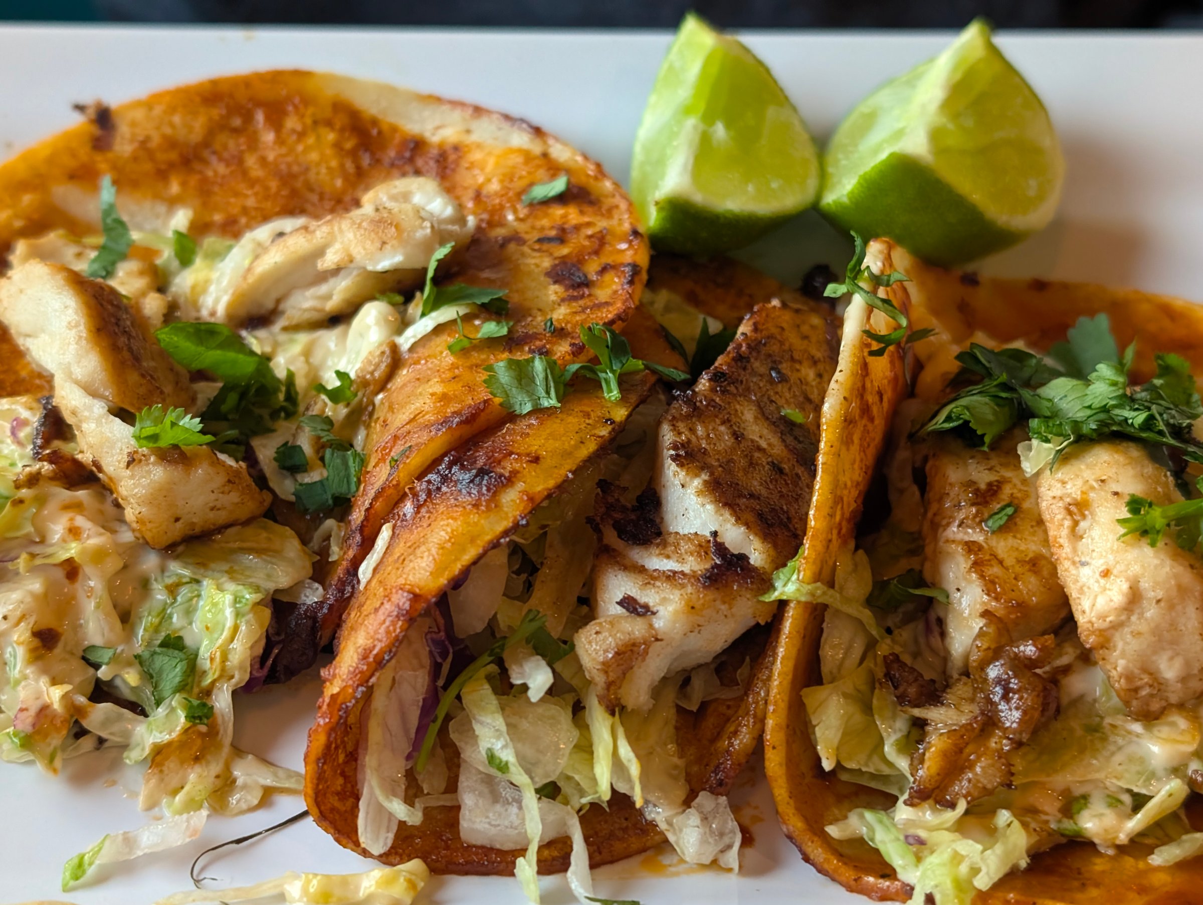 Looking from the side onto a plate with three fish tacos.
