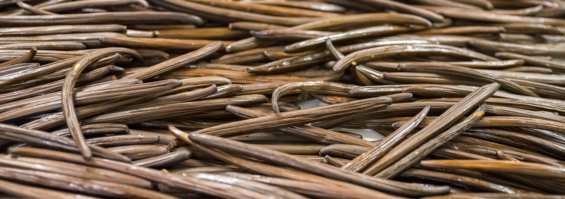 A close-up view of a collection of dried vanilla pods, showcasing their rich brown color and glossy texture.