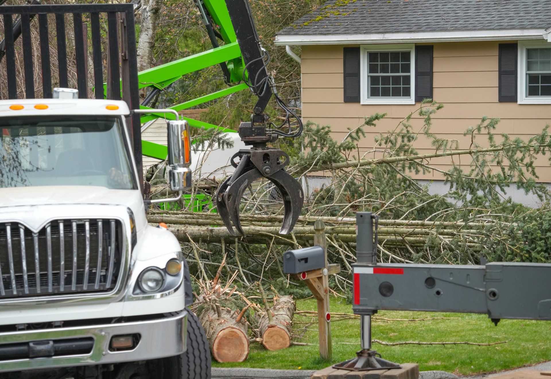 removed tree trunk by crane in residential area