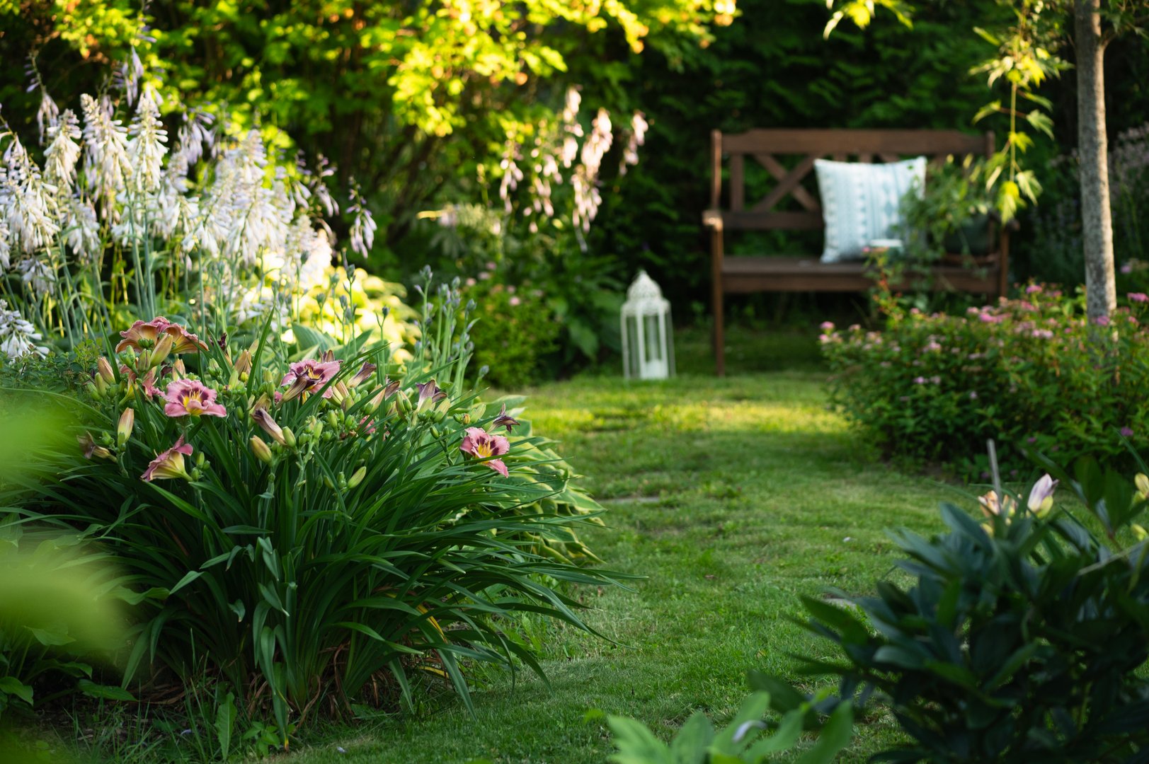 wooden garden bench in summer with curvy stone pathway and blooming day-lily