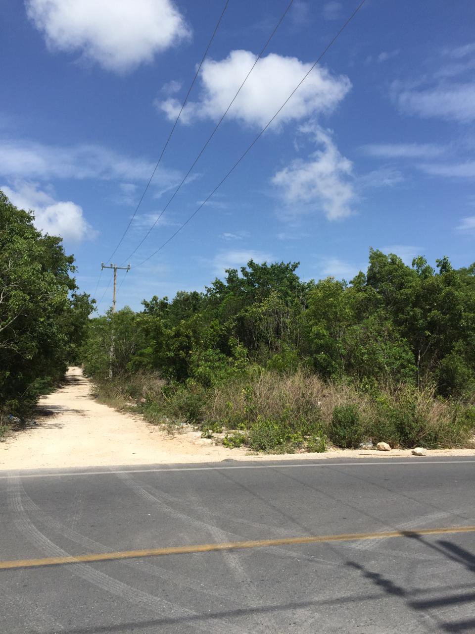 A narrow dirt path flanked by dense greenery crosses under power lines, leading away from a paved road on a sunny day.