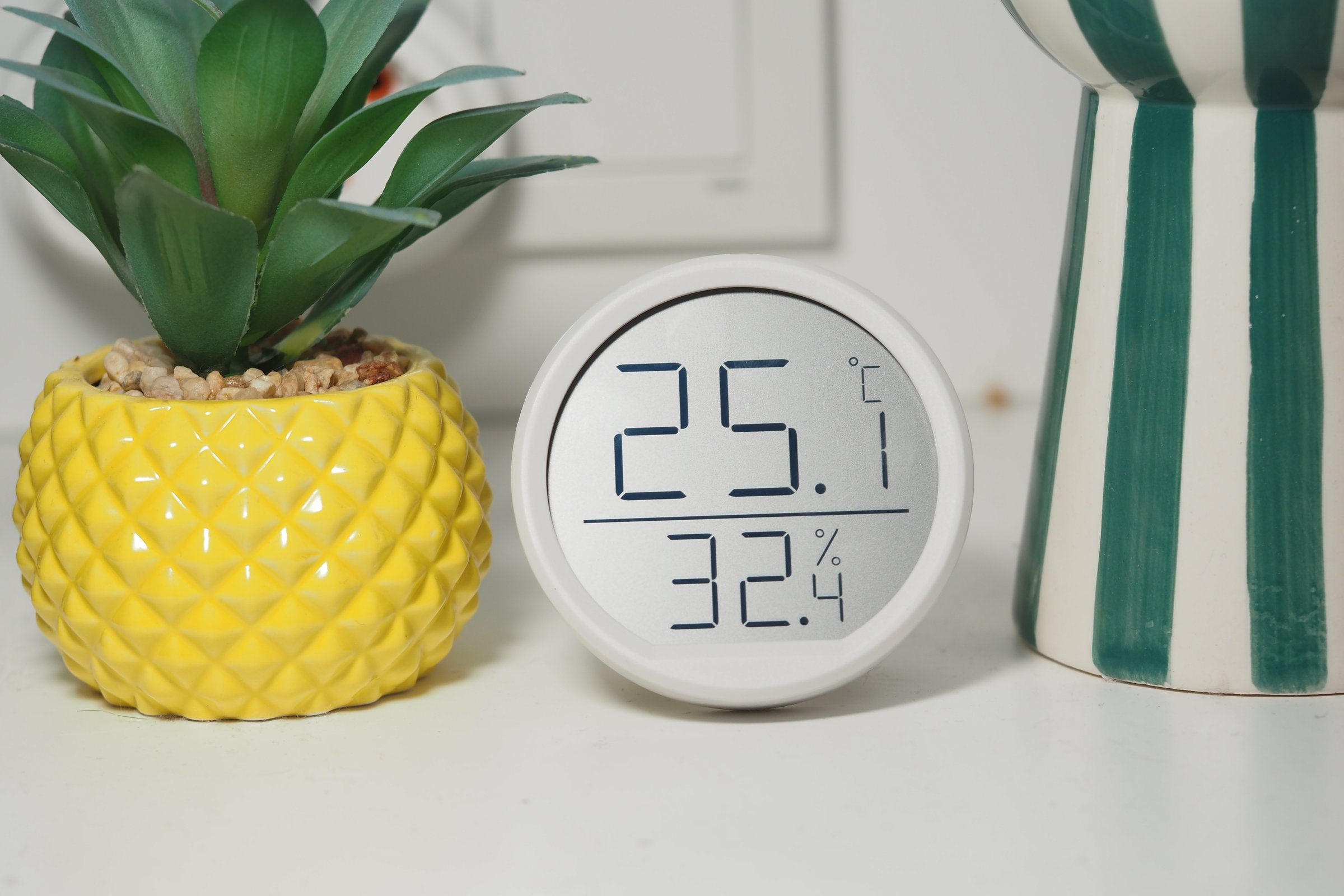 Digital display shows temperature and humidity beside a vibrant plant.
