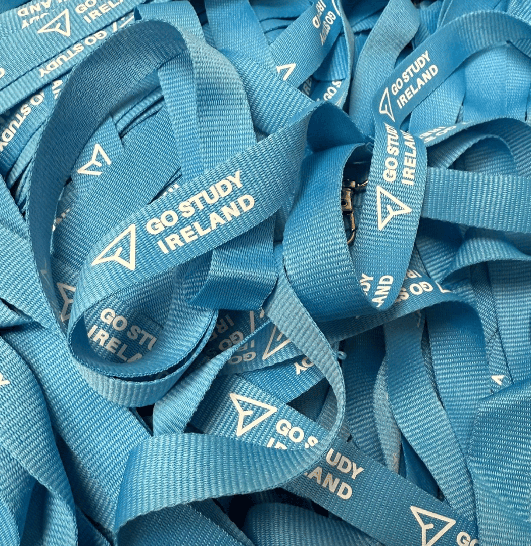 GoStudyIreland adventures