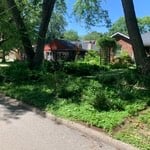 Lawn cleanup service - before photo