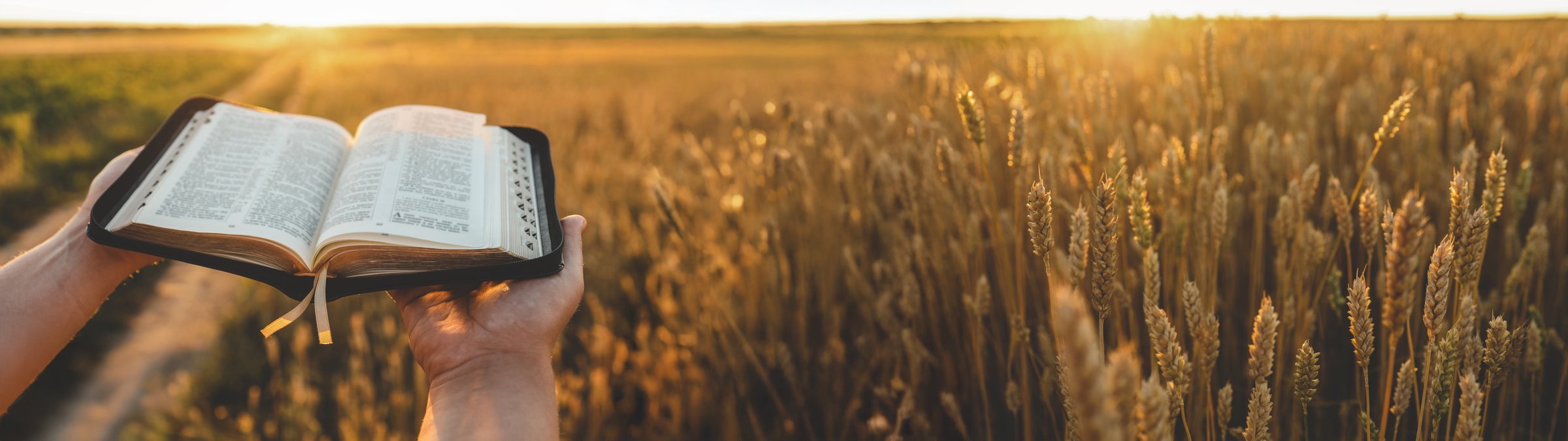 The open book is held in front of a field of wheat, with the sun setting in the background