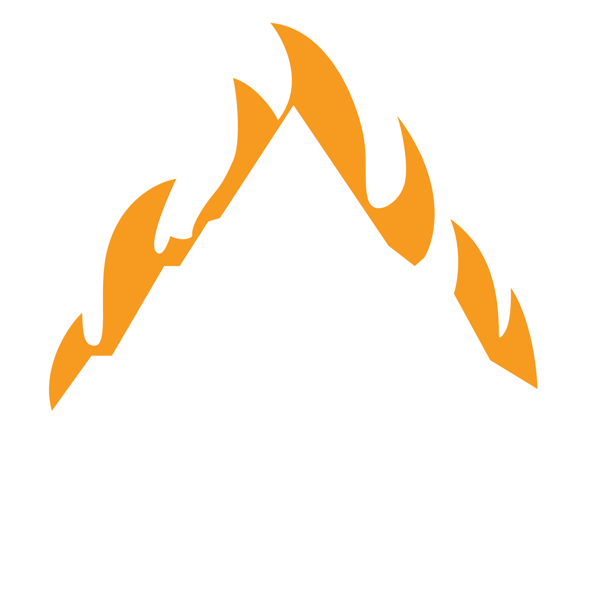 BLACKBURN LLC