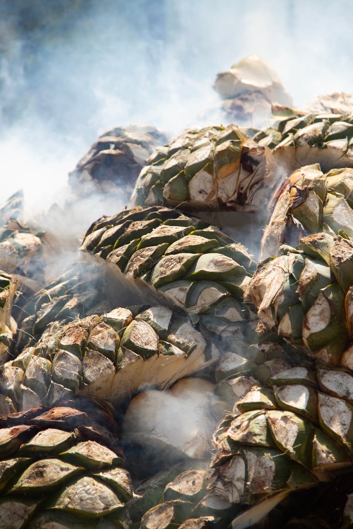 Traditional form of cooking maguey agave for the production of mezcal in the central valley of Oaxaca..
