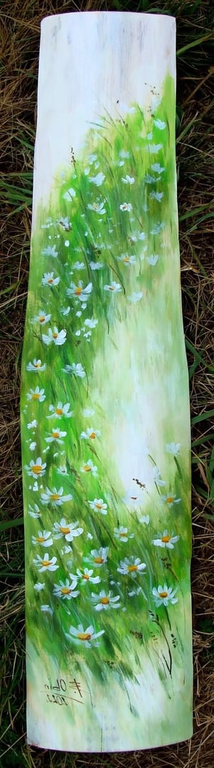 Rumianki dł 70cm deska oflis