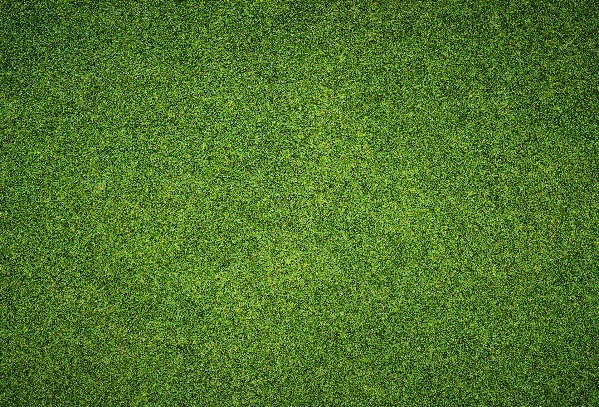 Background and texture of Beautiful green grass pattern from golf course