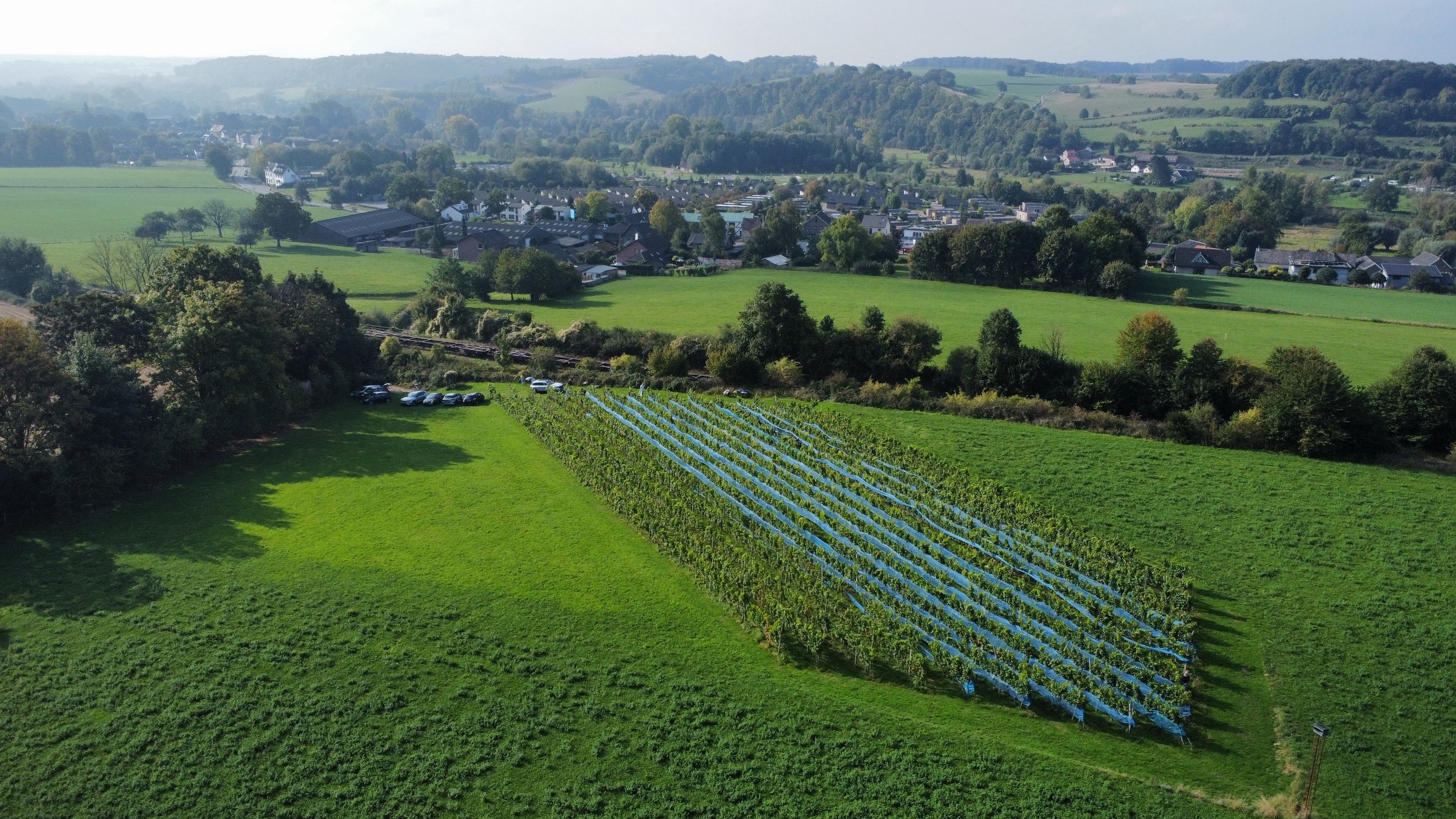 Belle Source vineyard location