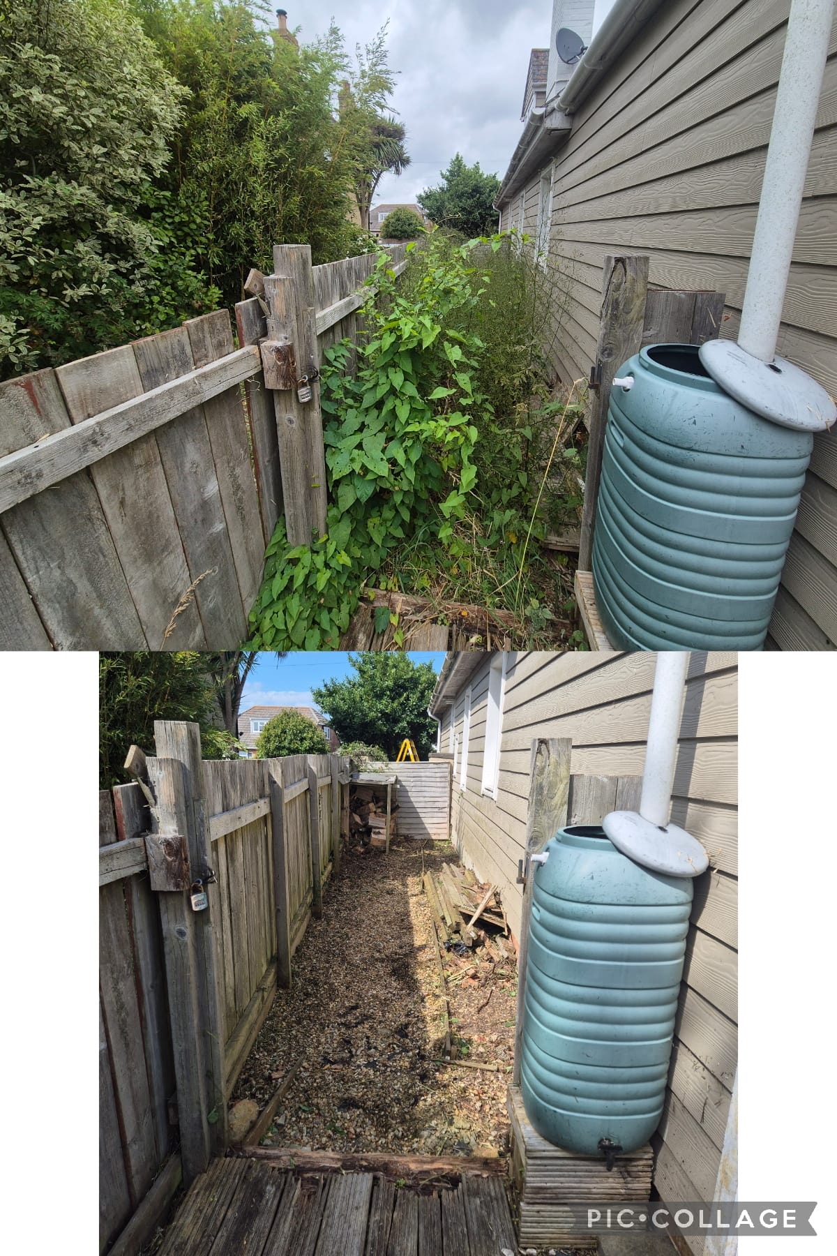 Garden project 6