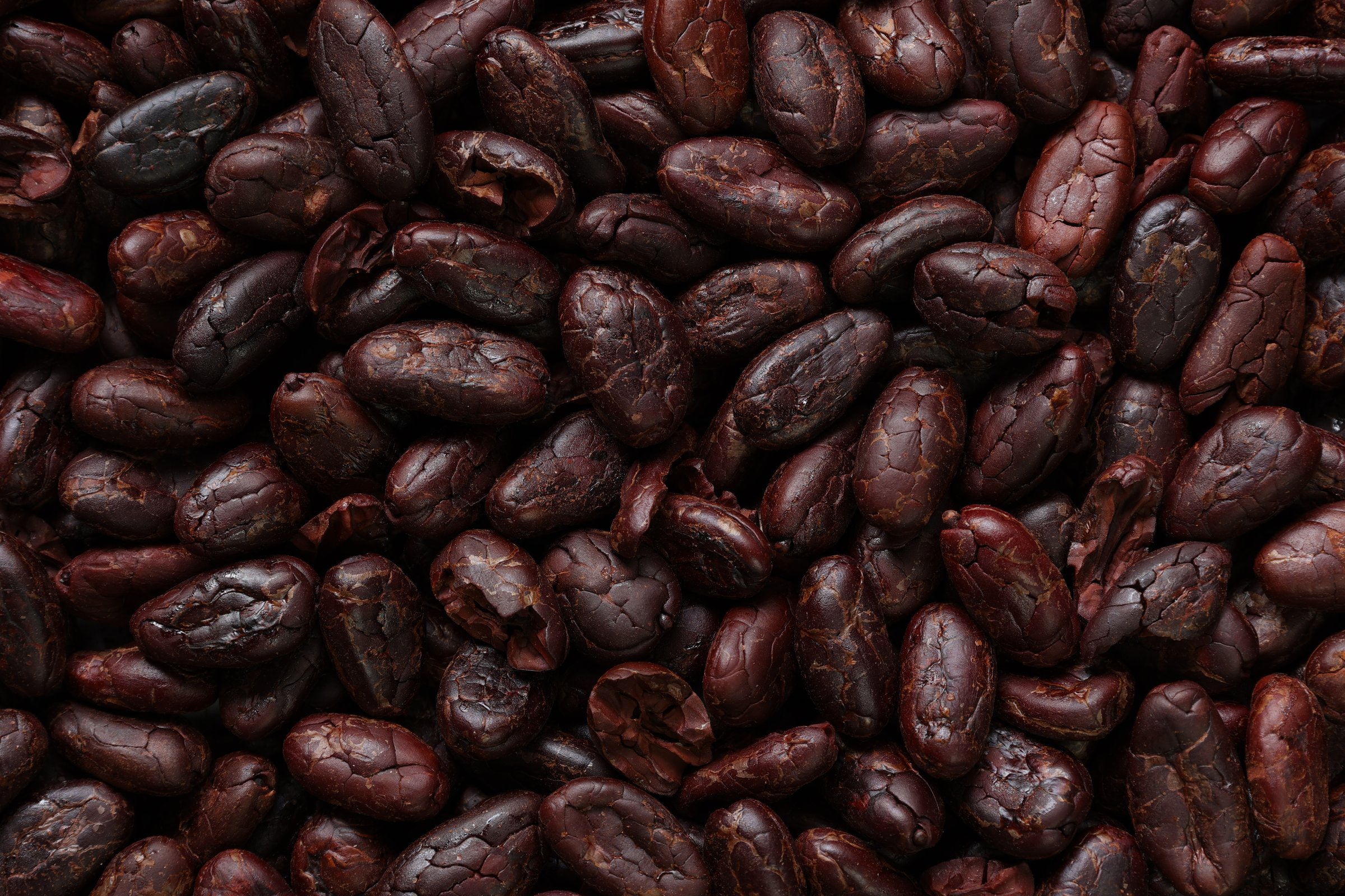 Brown roasted cocoa beans seeds on white background