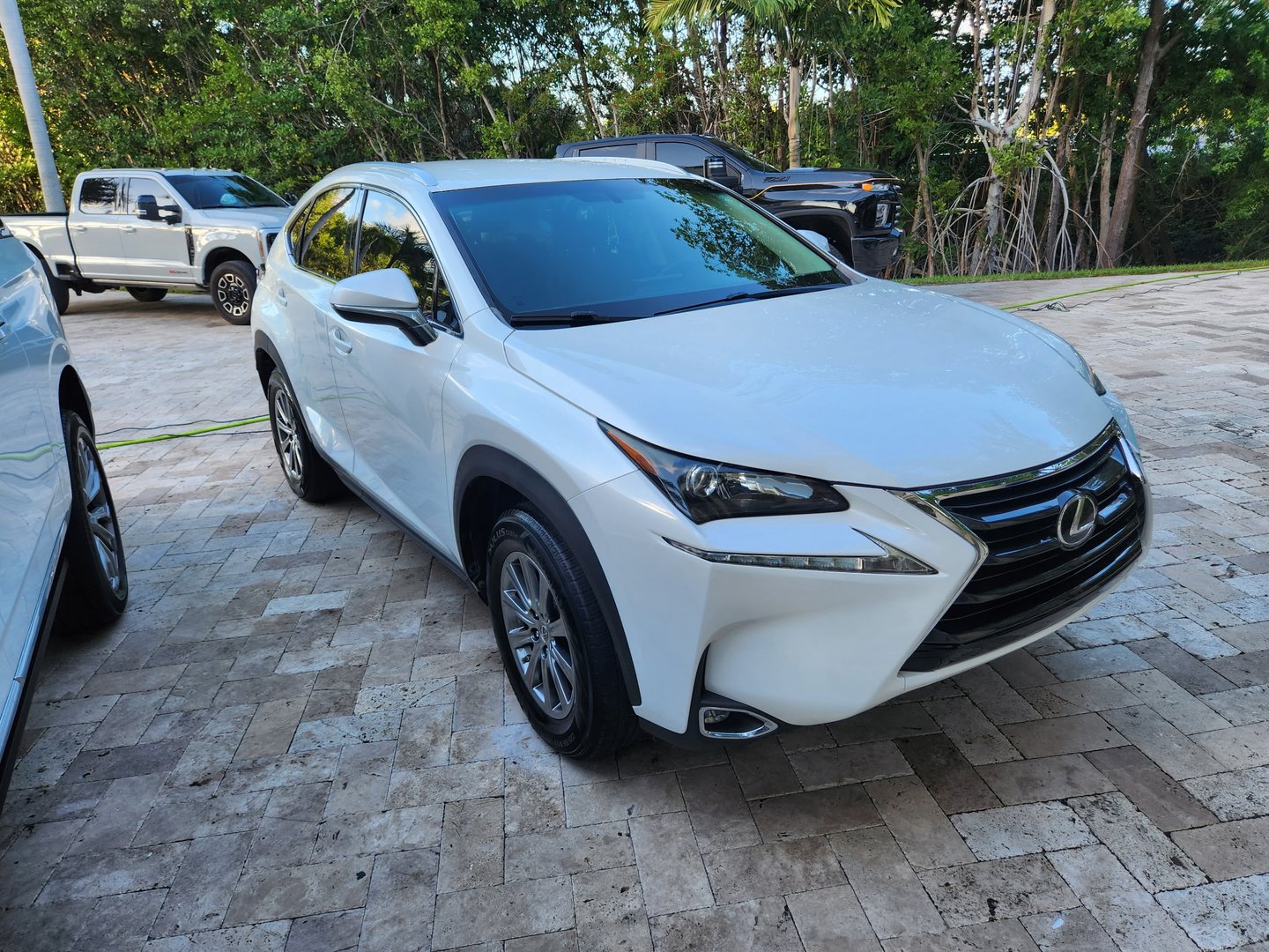 Completed detailing work by Cuddley Monsters Detailing