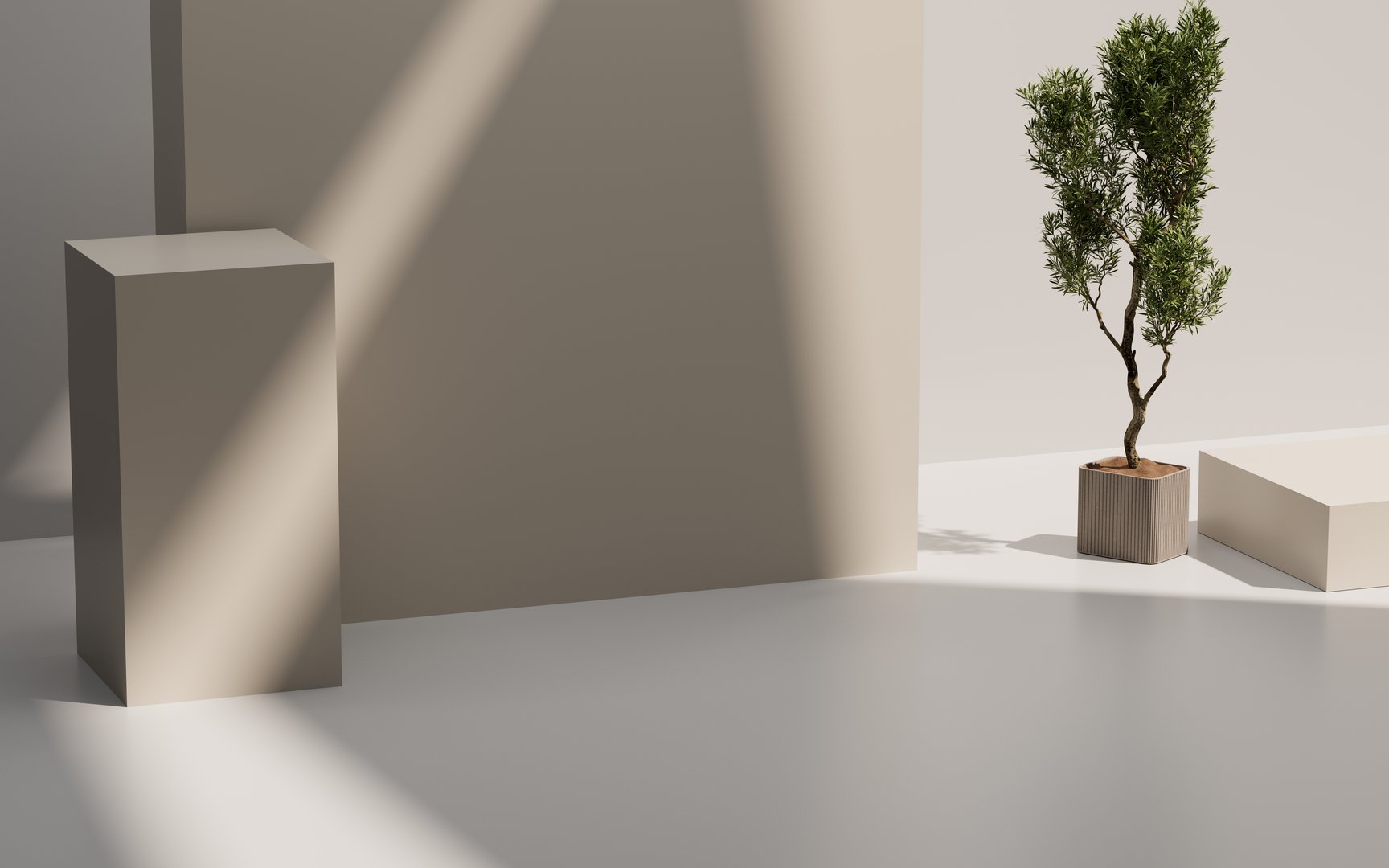 Empty Minimalist interior with natural light and copy space. Plants and sunlight in a minimalist space . 3D rendering
