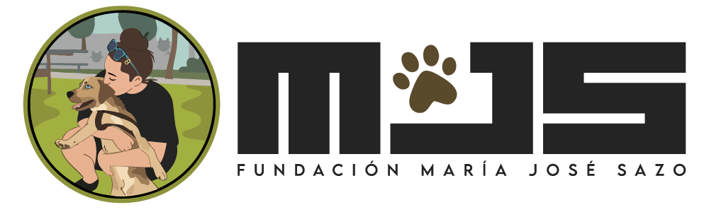 Fundación MJS Logo