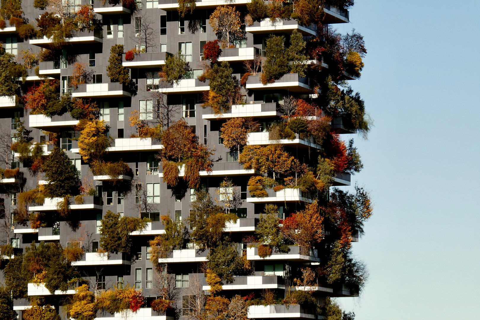Skyscraper with trees on the balconies during autumn