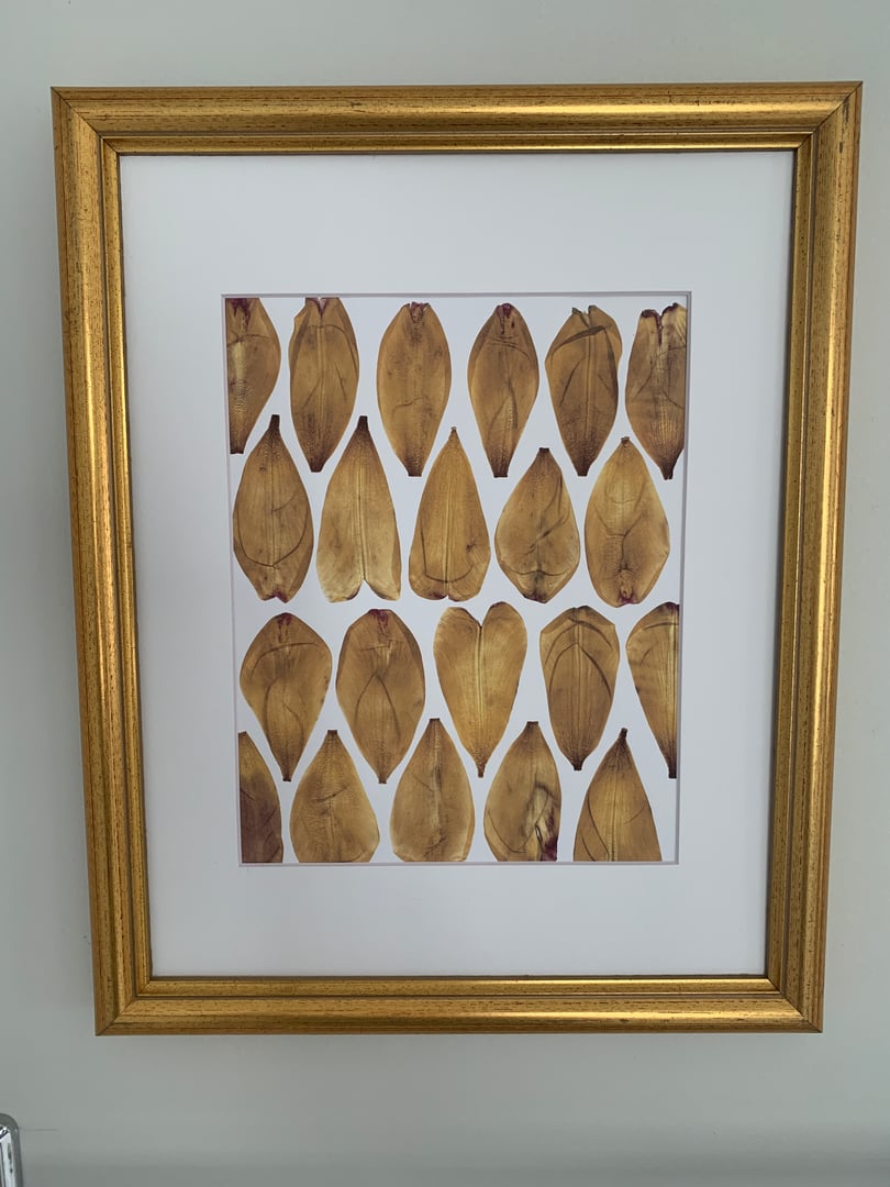 Artistic Pressed Flower Arrangement