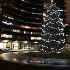 Professional Christmas lights installation showcasing quality workmanship