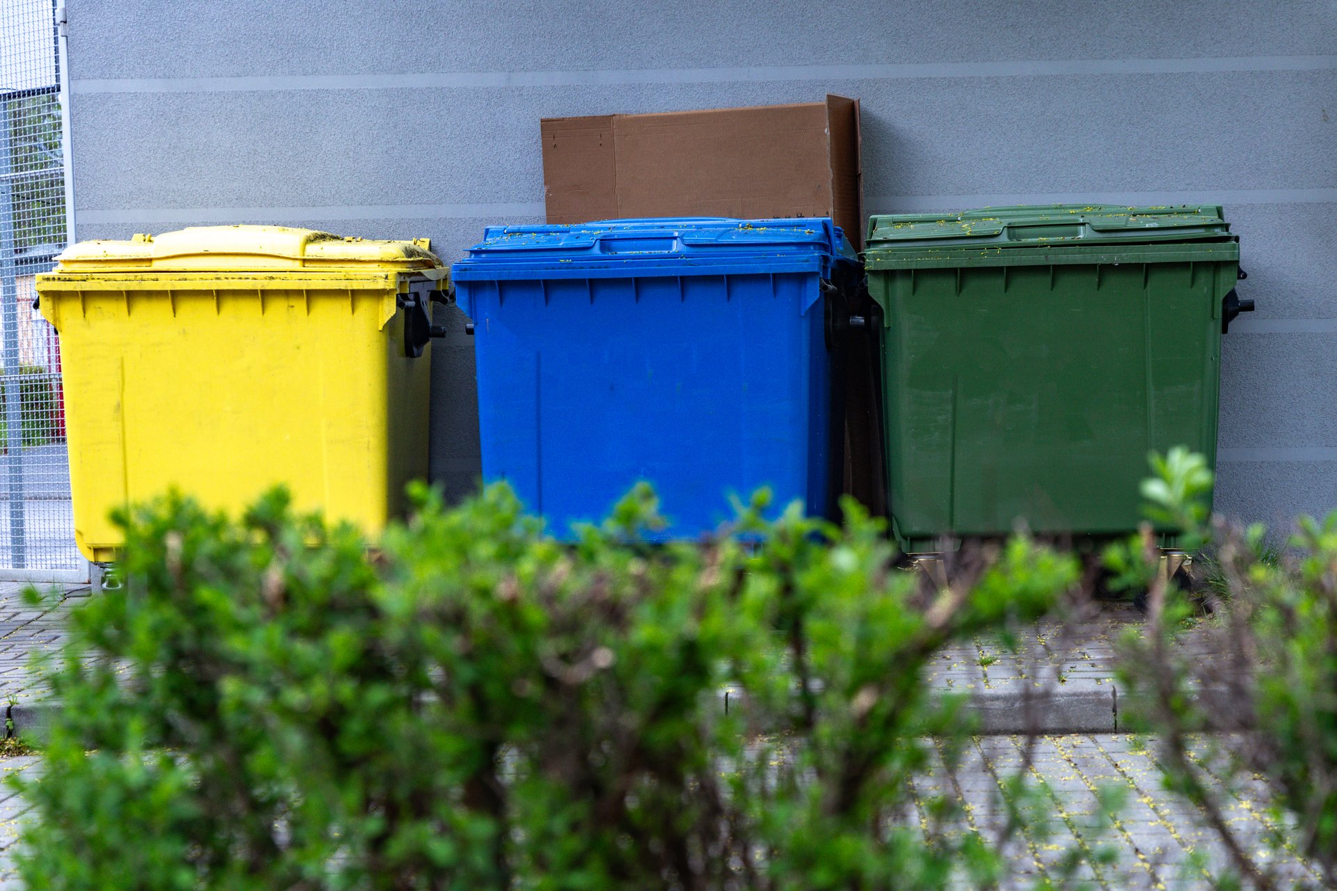 Colored garbage cans, waste segregation, paper, glass, bio-waste