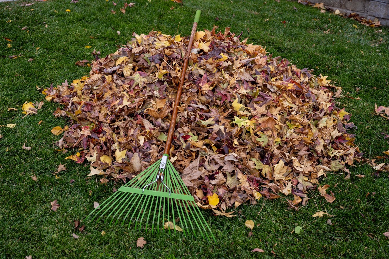 A large pile of raked up leaves
