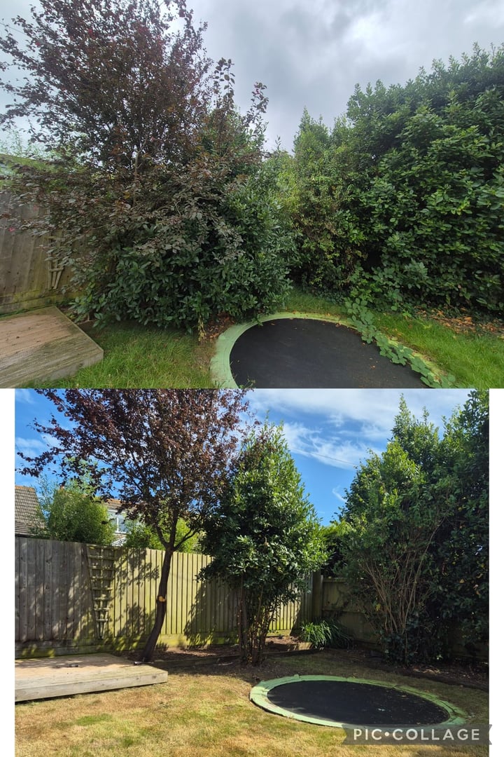 Garden project 8