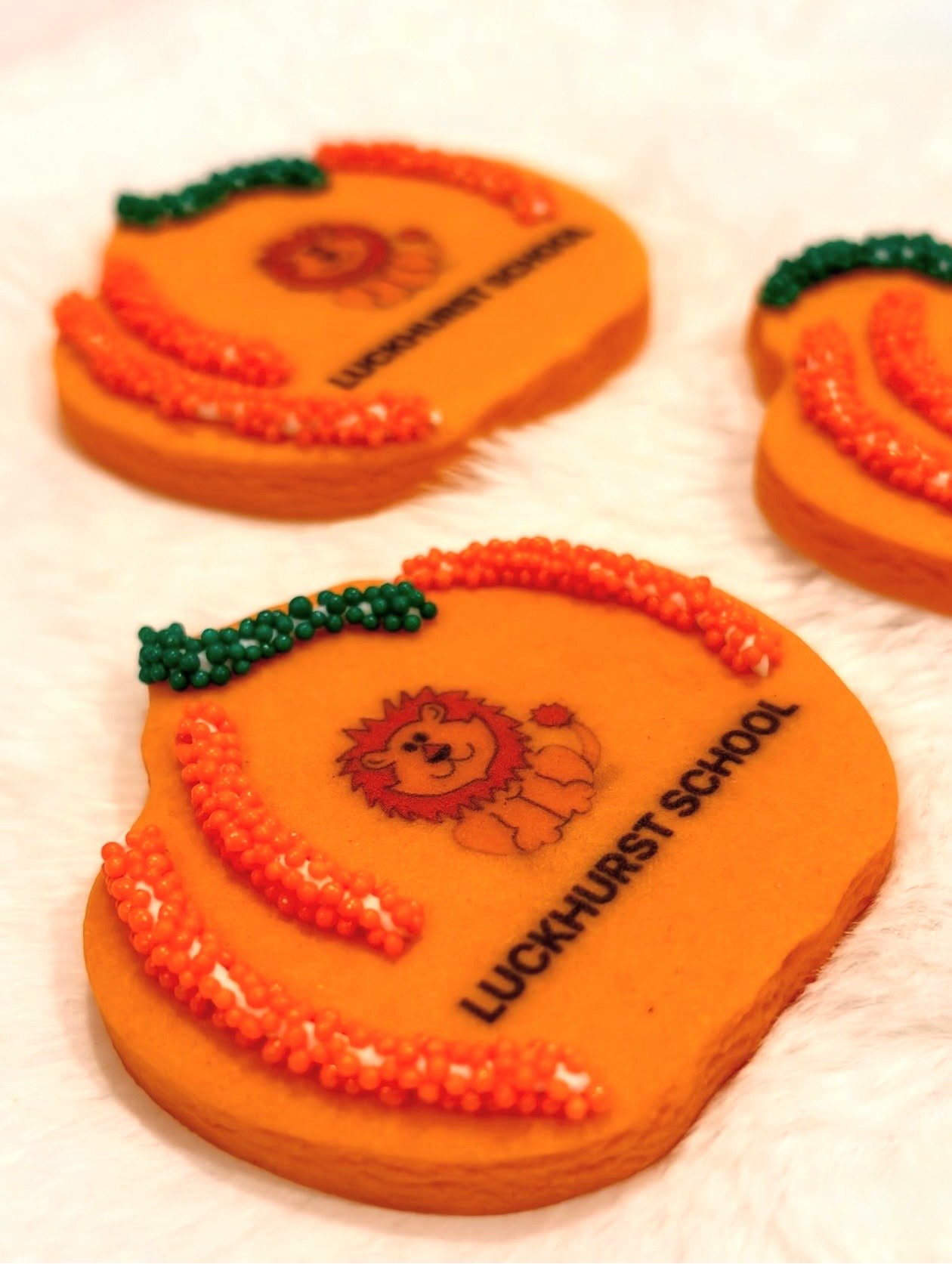 Halloween Cookies for Kid's School