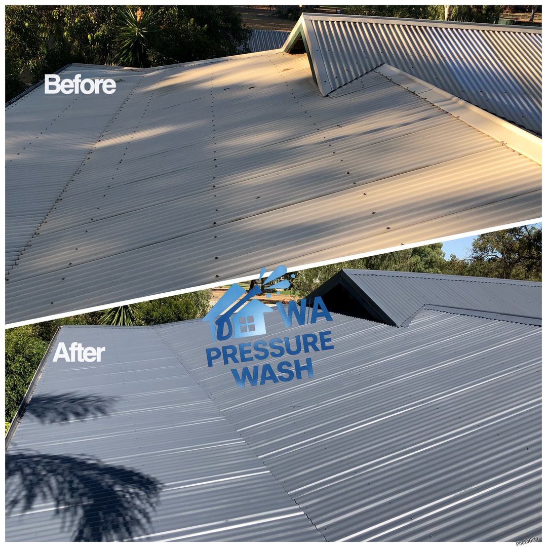 Professional roof painting service