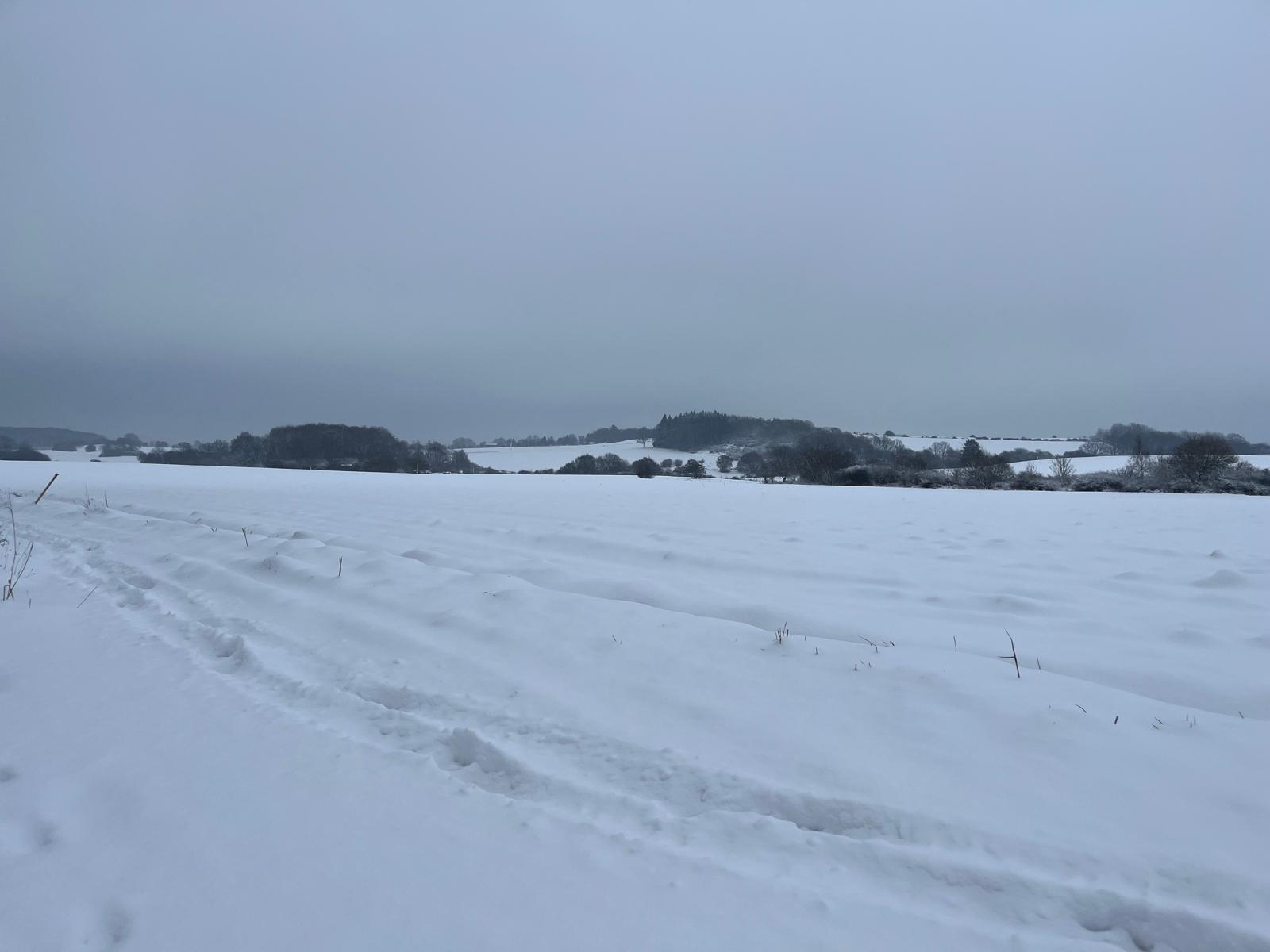 Nature view at Eifel Moments