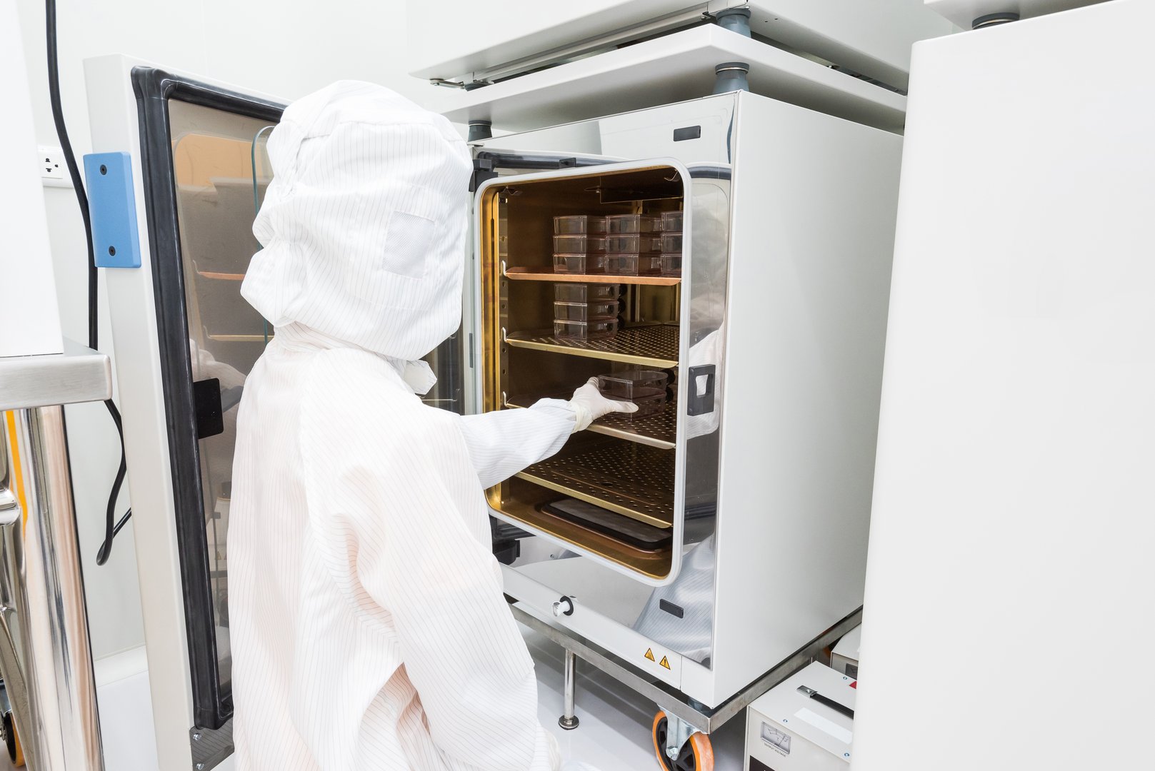 A scientist in sterile coverall gown placing cell culture flasks in the CO2 incubator. Doing biological research in clean environmental. Cleanroom facility