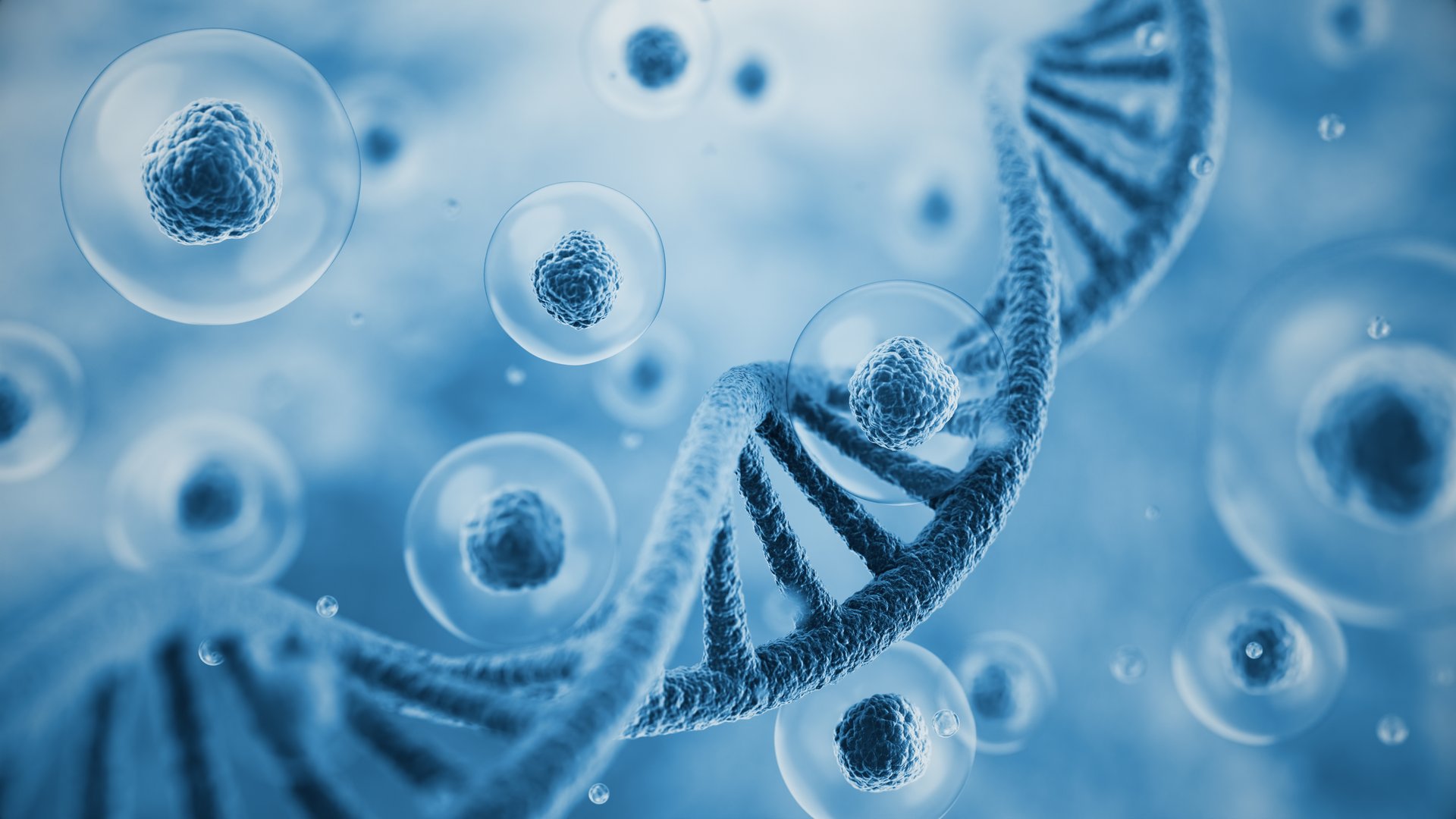 3d rendering Colorful DNA and flying Human cell or Embryonic stem cell on microscope background, Depth Of Field.