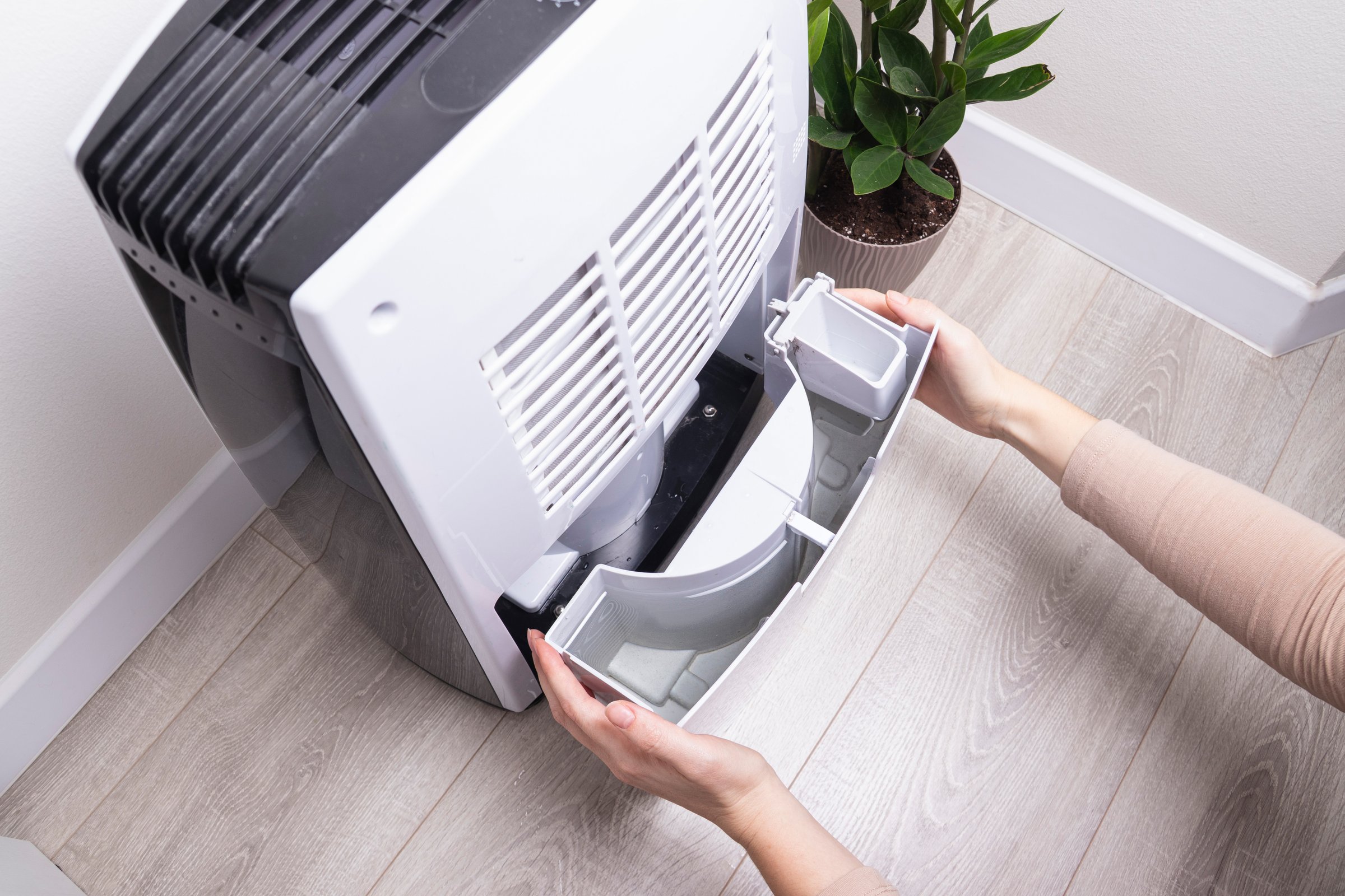 Woman removing collected water tank from home dehumidifier. Concept of dampness reduction, mold protection, indoor climate regulation.