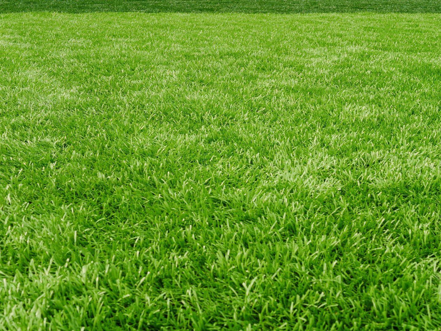 Soccer Ball, Lawn, Ball, Flooring, Land