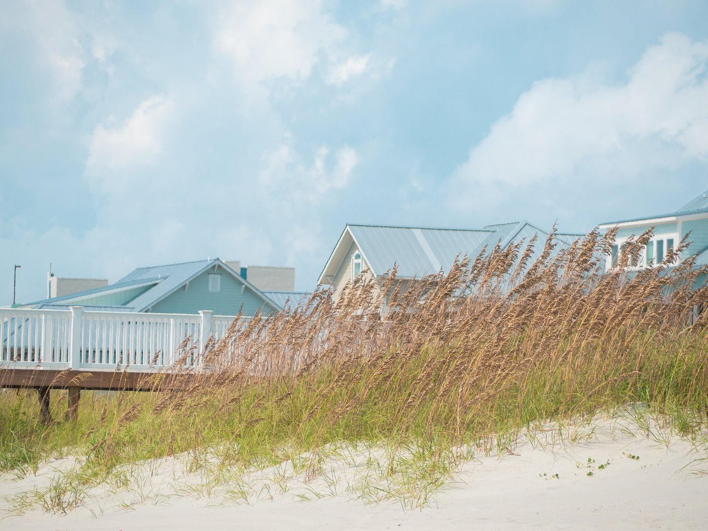 Beach dunes