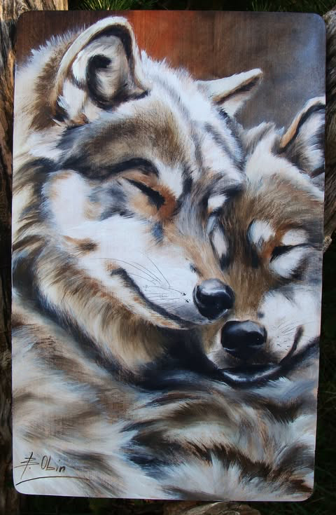Wilk 15