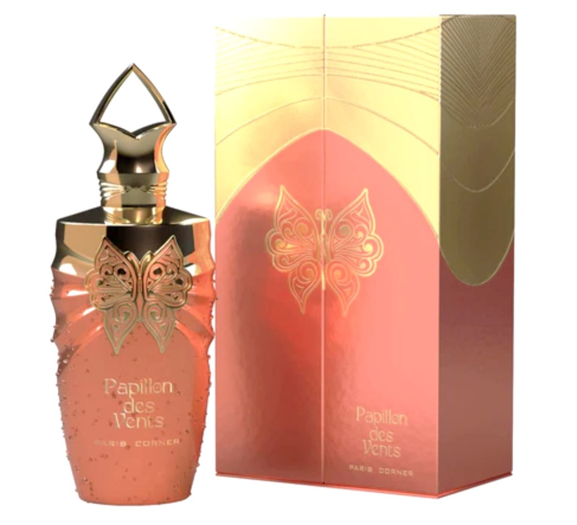 Papillon des Vents Paris Corner