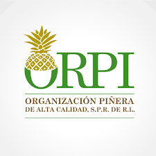 Logo Orpi