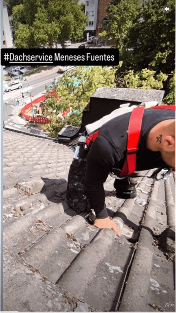 Dachservice Meneses Fuentes Team