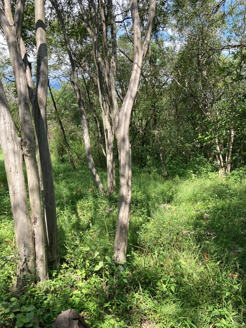 Terreno Huajuquito Vista 4