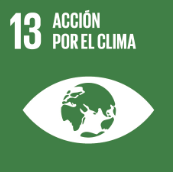 Icon of UN SDG 13: Climate Action, featuring a globe inside an eye shape on a green background with text in Spanish.
