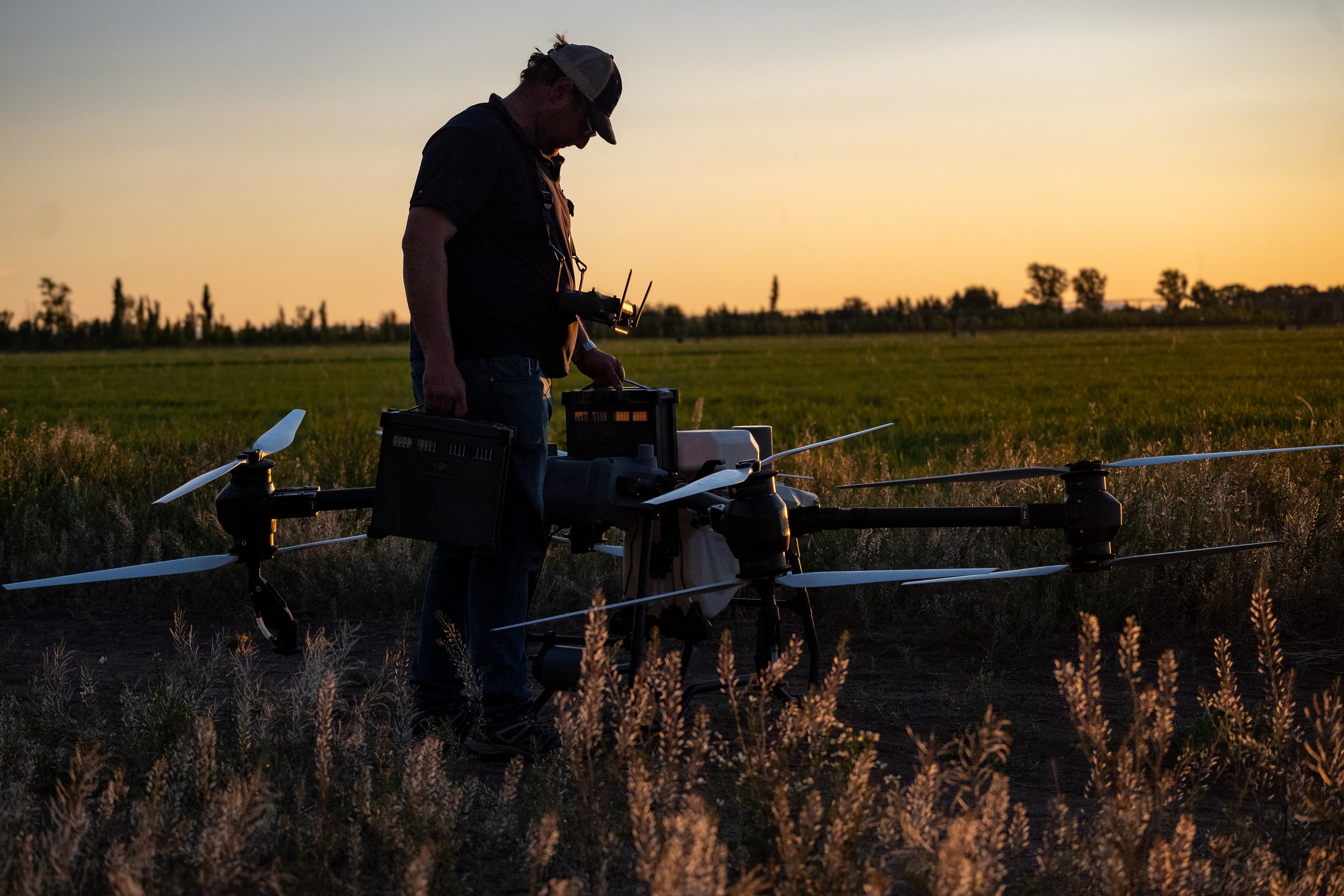 San Rafael, Argentina, October 1, 2024; Agricultural drone pilot changing batteries at dusk.