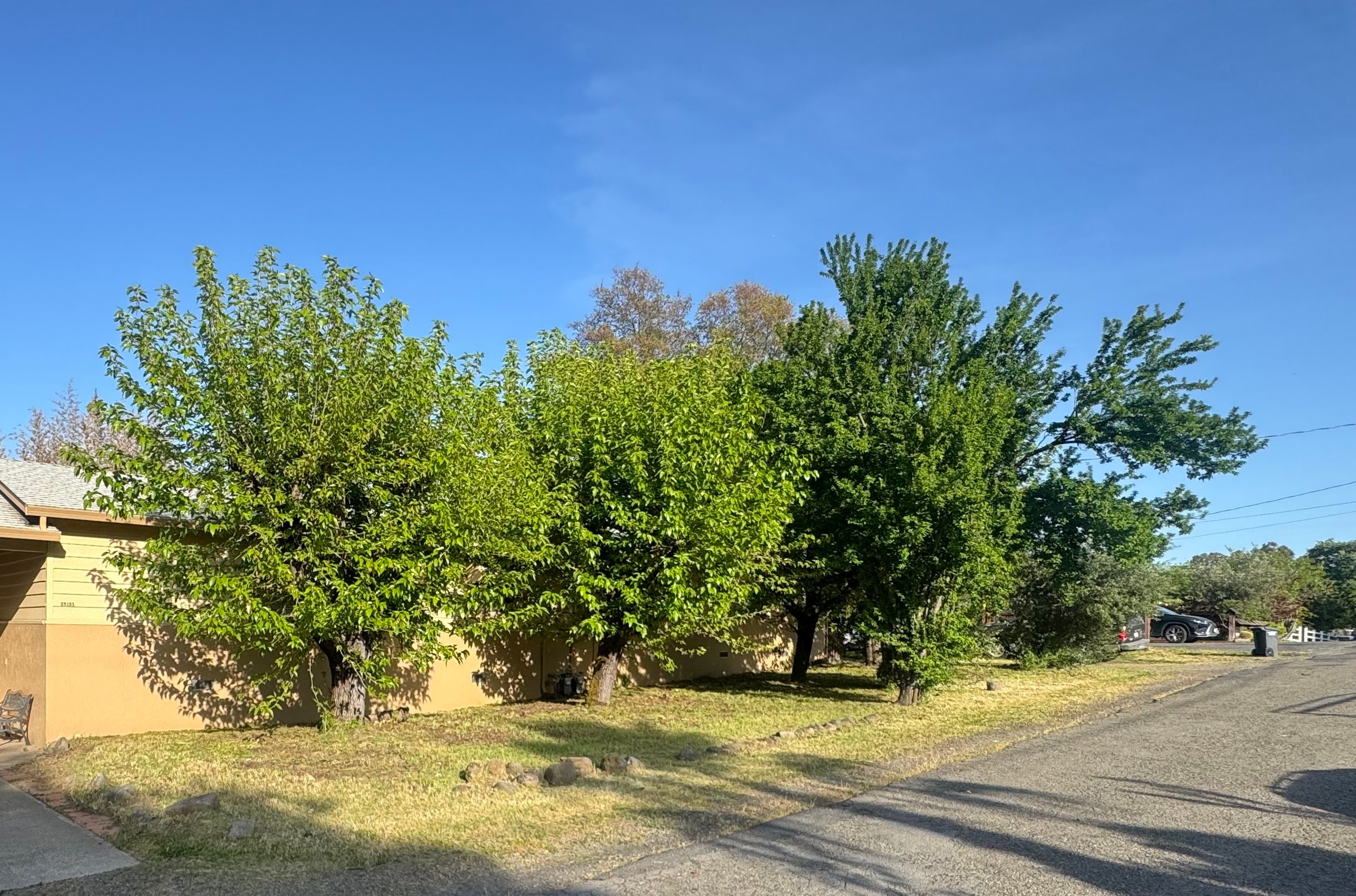 After landscape work