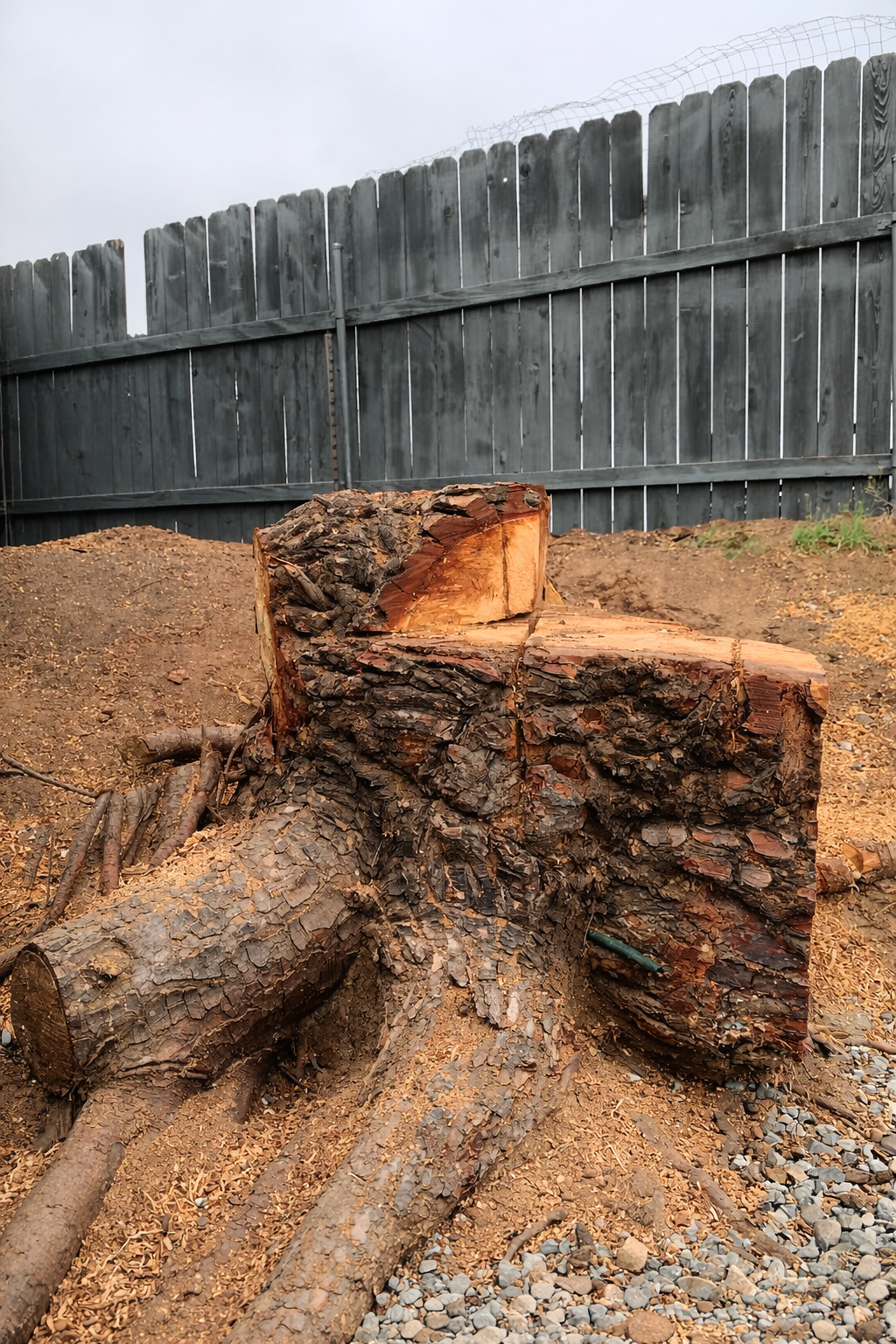 Stump Removal - Ramona CA
