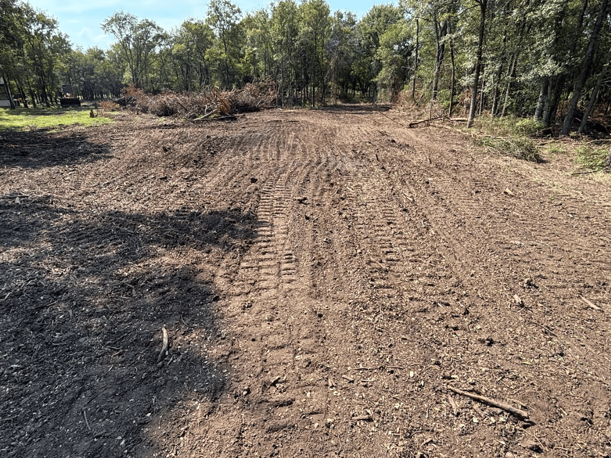 Land clearing project