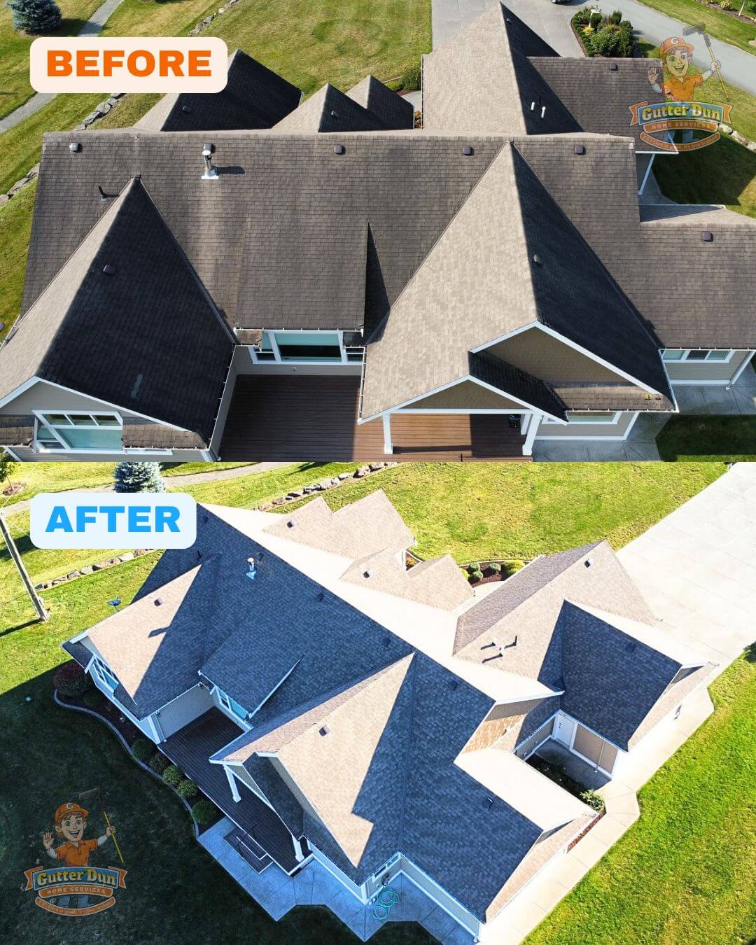 Before and after transformation