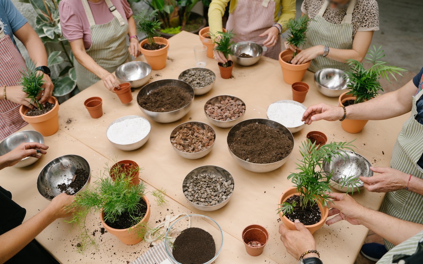 Group of seven people replanting house plants. table with soil, bowls, root balls, and plants. The hand is taking Perlite. Top view and unrecognizable people