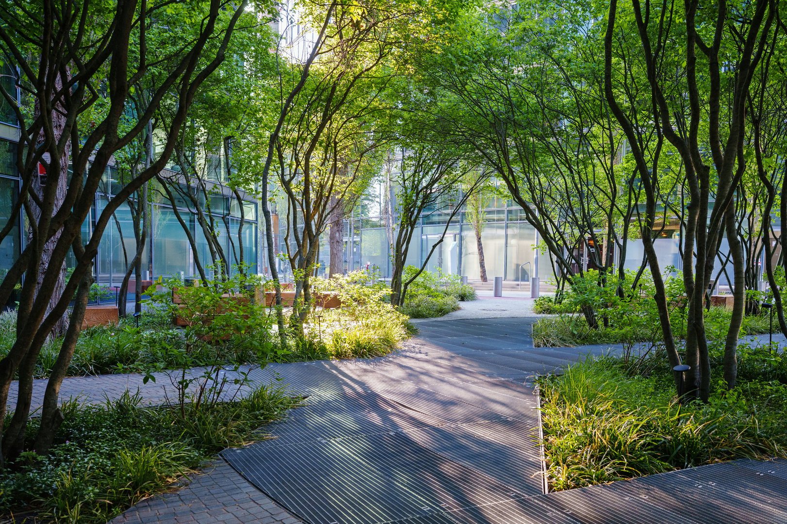 A modern urban courtyard with a green walkway surrounded by slim trees, lush plants, and glass buildings, bathed in soft daylight